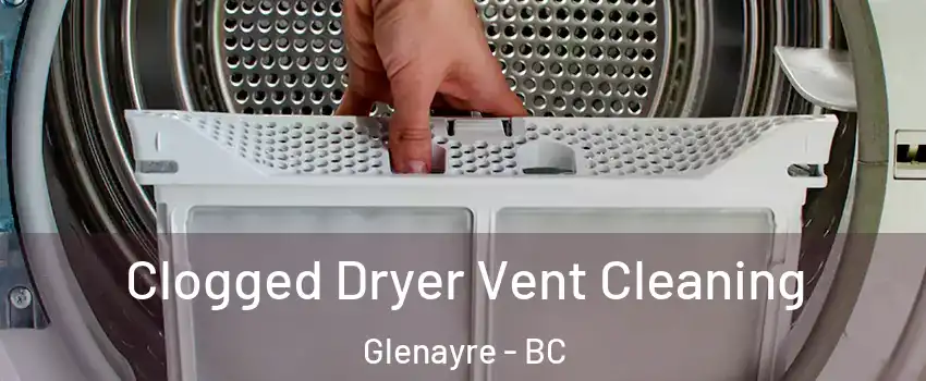  Clogged Dryer Vent Cleaning Glenayre - BC