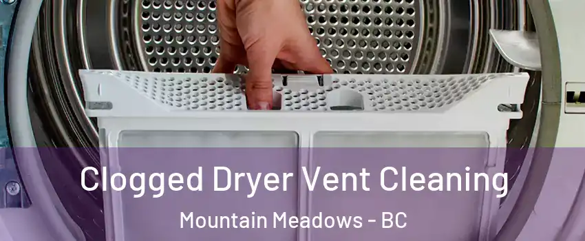  Clogged Dryer Vent Cleaning Mountain Meadows - BC