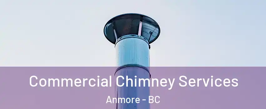  Commercial Chimney Services Anmore - BC
