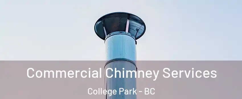  Commercial Chimney Services College Park - BC