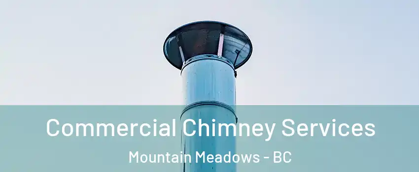  Commercial Chimney Services Mountain Meadows - BC