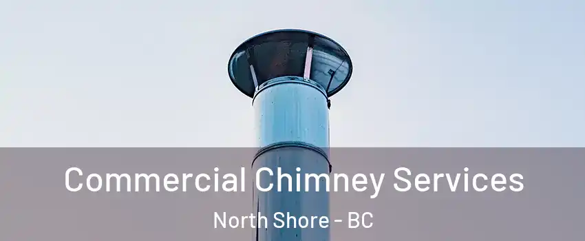  Commercial Chimney Services North Shore - BC