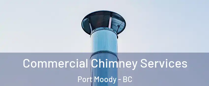  Commercial Chimney Services Port Moody - BC
