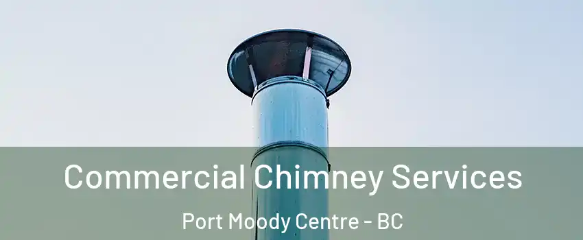  Commercial Chimney Services Port Moody Centre - BC