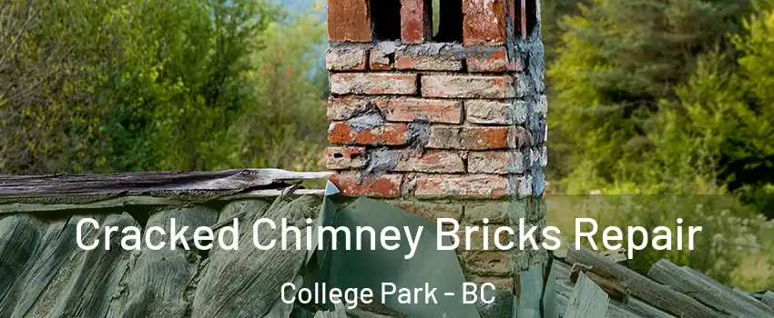  Cracked Chimney Bricks Repair College Park - BC