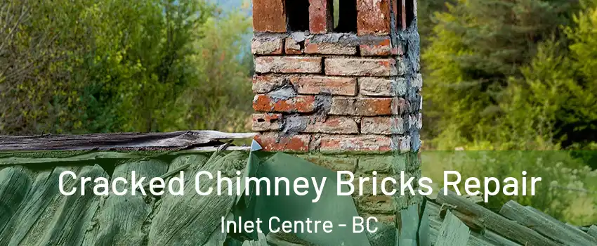  Cracked Chimney Bricks Repair Inlet Centre - BC
