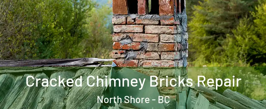  Cracked Chimney Bricks Repair North Shore - BC