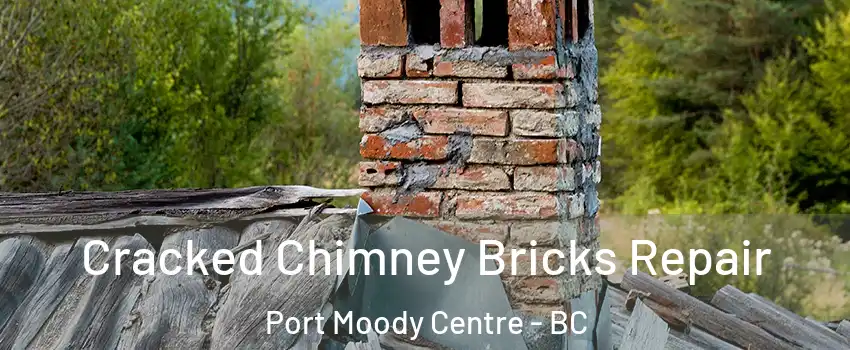  Cracked Chimney Bricks Repair Port Moody Centre - BC