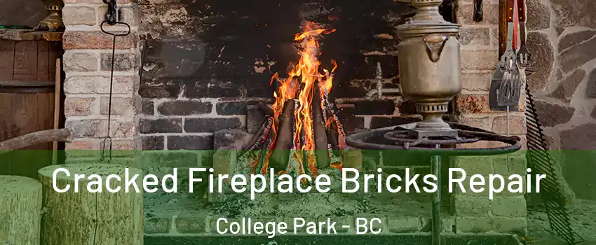  Cracked Fireplace Bricks Repair College Park - BC