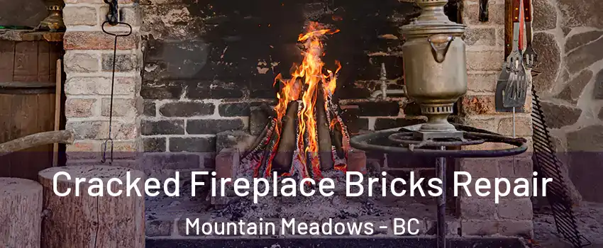  Cracked Fireplace Bricks Repair Mountain Meadows - BC