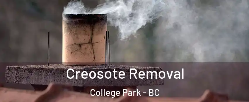  Creosote Removal College Park - BC