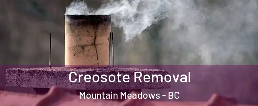  Creosote Removal Mountain Meadows - BC