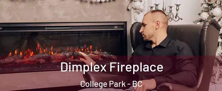  Dimplex Fireplace College Park - BC