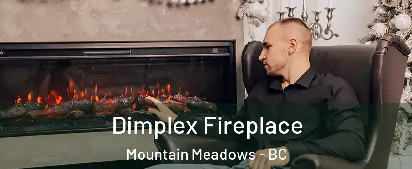  Dimplex Fireplace Mountain Meadows - BC