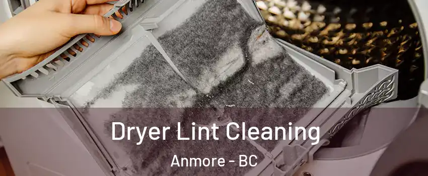  Dryer Lint Cleaning Anmore - BC