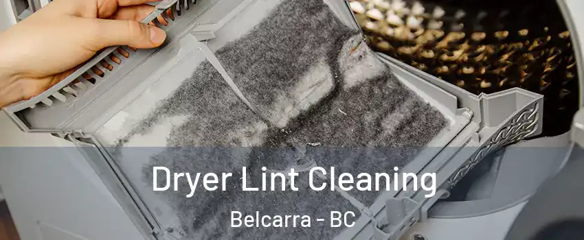  Dryer Lint Cleaning Belcarra - BC