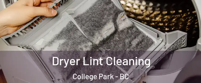  Dryer Lint Cleaning College Park - BC