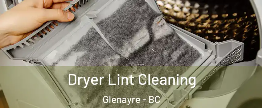  Dryer Lint Cleaning Glenayre - BC
