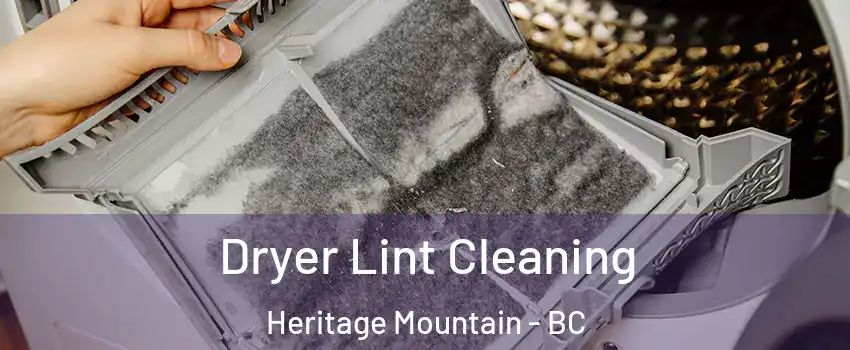  Dryer Lint Cleaning Heritage Mountain - BC