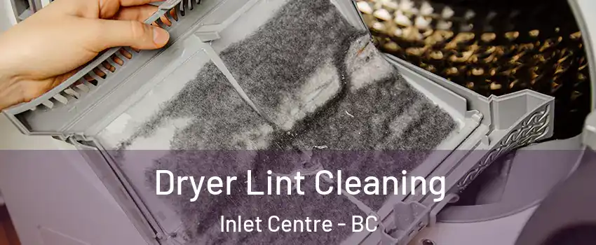 Dryer Lint Cleaning Inlet Centre - BC