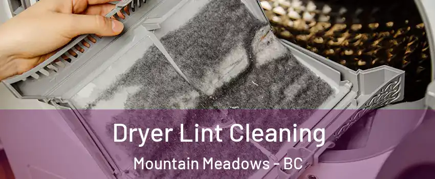  Dryer Lint Cleaning Mountain Meadows - BC