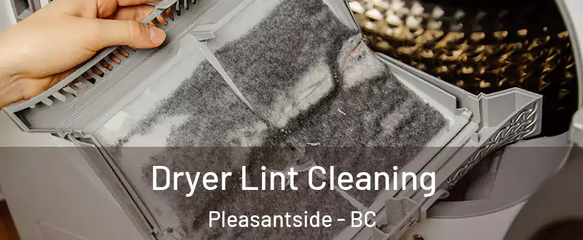 Dryer Lint Cleaning Pleasantside - BC