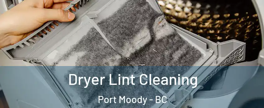  Dryer Lint Cleaning Port Moody - BC