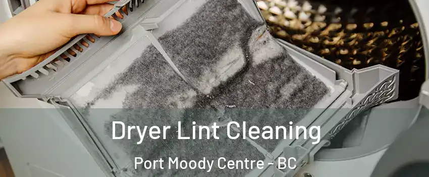  Dryer Lint Cleaning Port Moody Centre - BC