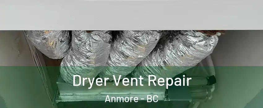  Dryer Vent Repair Anmore - BC