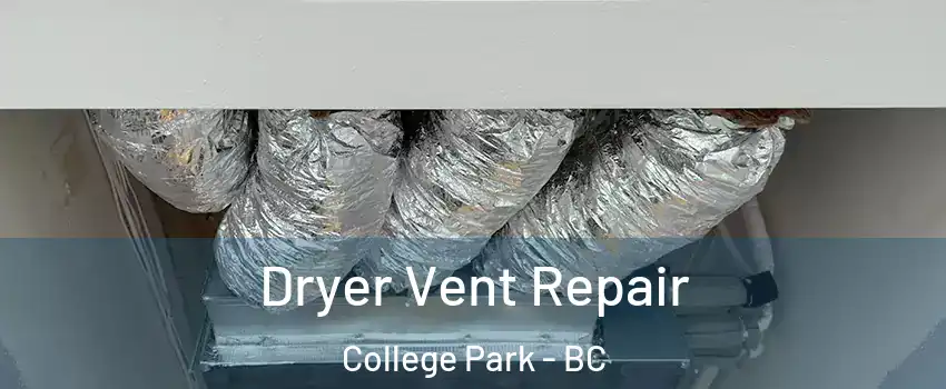  Dryer Vent Repair College Park - BC