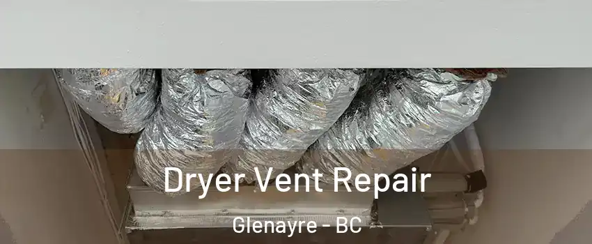  Dryer Vent Repair Glenayre - BC
