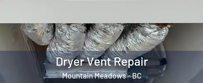  Dryer Vent Repair Mountain Meadows - BC