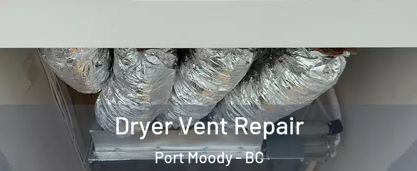  Dryer Vent Repair Port Moody - BC