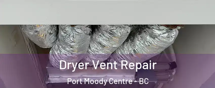  Dryer Vent Repair Port Moody Centre - BC
