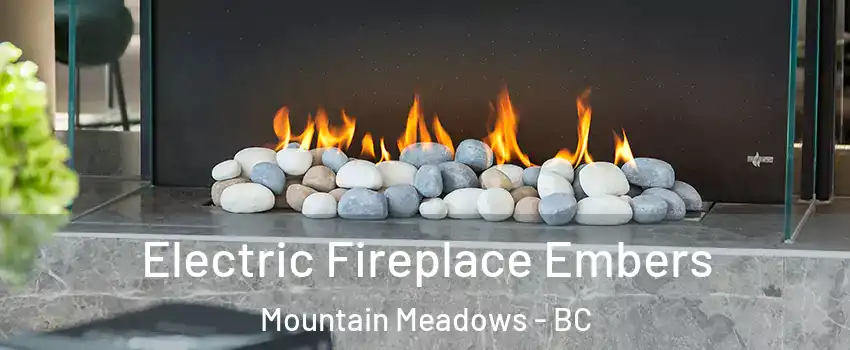  Electric Fireplace Embers Mountain Meadows - BC
