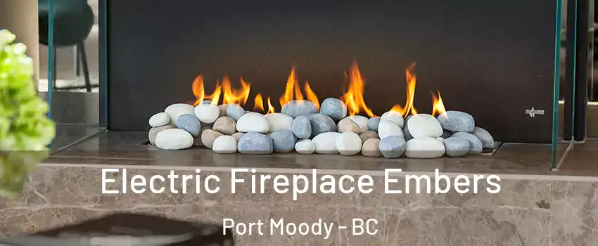  Electric Fireplace Embers Port Moody - BC