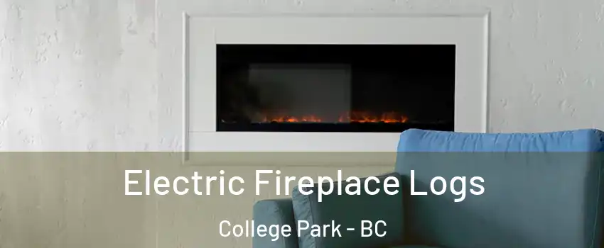  Electric Fireplace Logs College Park - BC