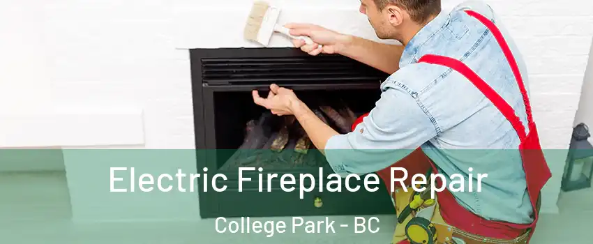  Electric Fireplace Repair College Park - BC