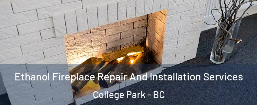  Ethanol Fireplace Repair And Installation Services College Park - BC