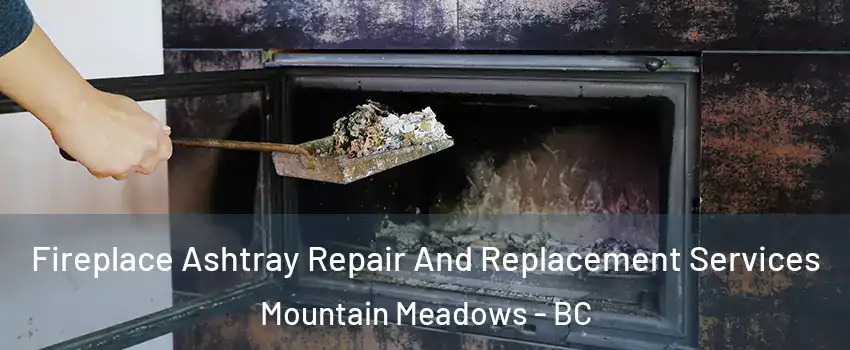  Fireplace Ashtray Repair And Replacement Services Mountain Meadows - BC