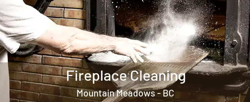  Fireplace Cleaning Mountain Meadows - BC