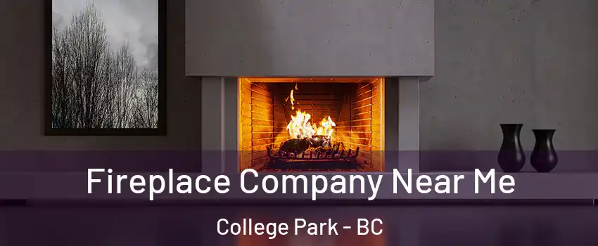 Fireplace Company Near Me College Park - BC