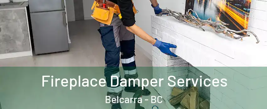 Fireplace Damper Services Belcarra - BC