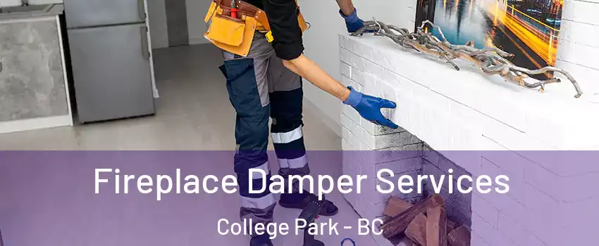  Fireplace Damper Services College Park - BC