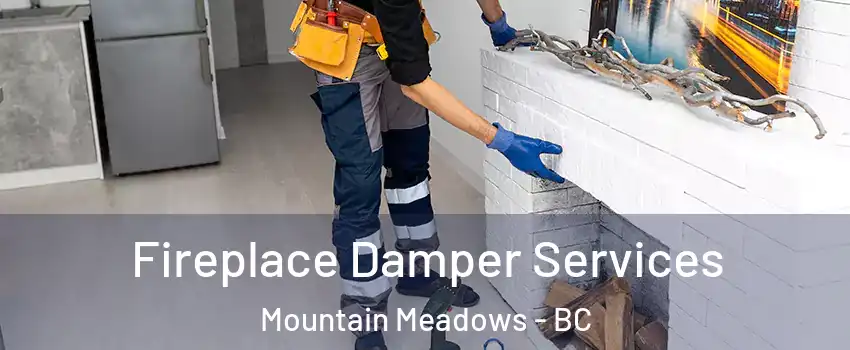  Fireplace Damper Services Mountain Meadows - BC