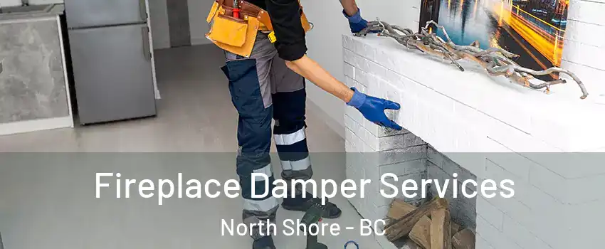  Fireplace Damper Services North Shore - BC