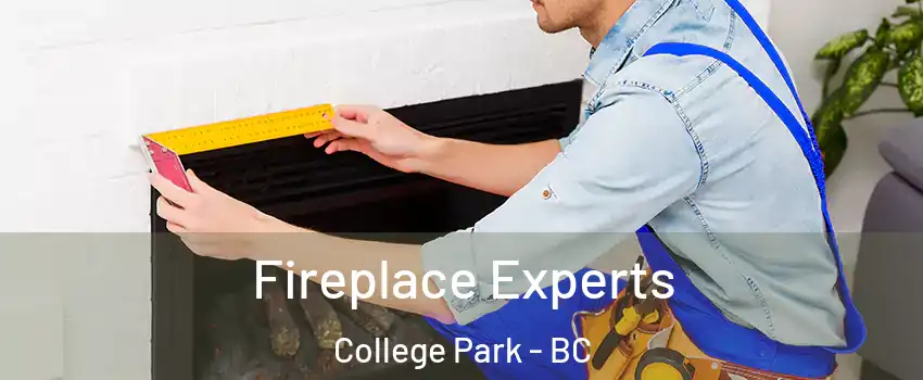  Fireplace Experts College Park - BC