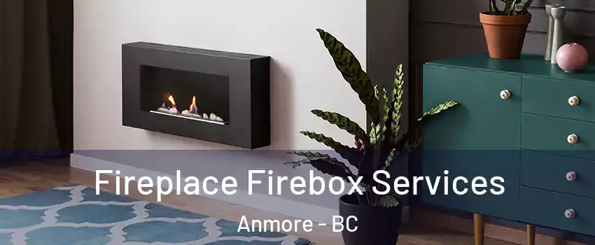  Fireplace Firebox Services Anmore - BC