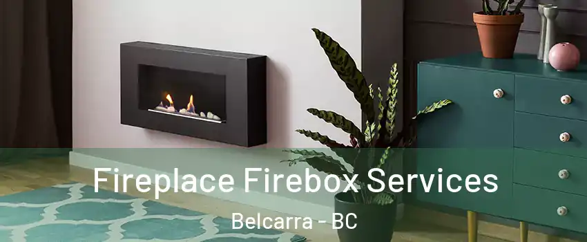  Fireplace Firebox Services Belcarra - BC