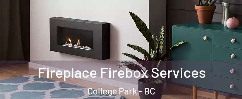  Fireplace Firebox Services College Park - BC